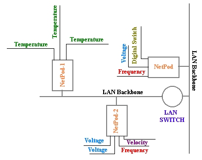 Network Layout